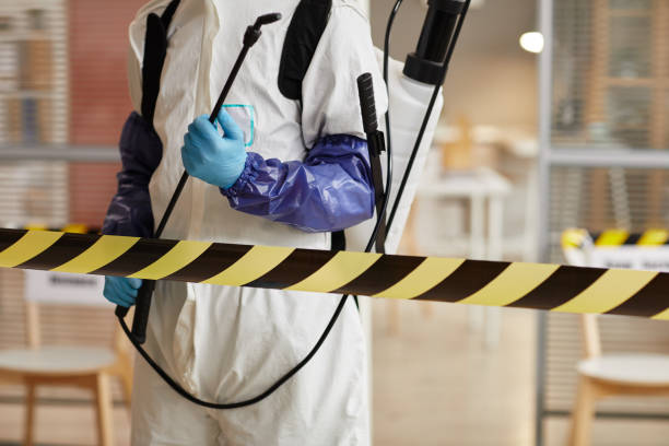 Professional Odor Removal technician working in Russiaville, IN